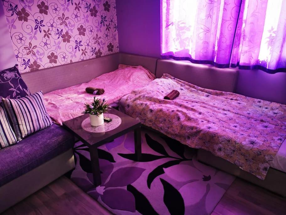 Apartment Lavender, Near To Airport Sofia Exterior foto